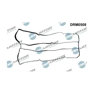 DRM0508 LIZARTE
