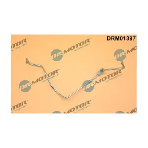 DRM01397 LIZARTE