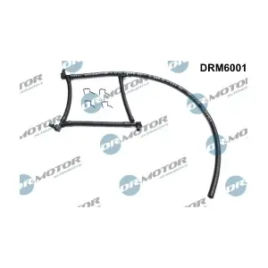 DRM6001 LIZARTE