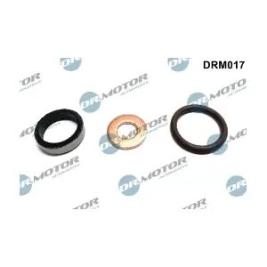 DRM017 LIZARTE