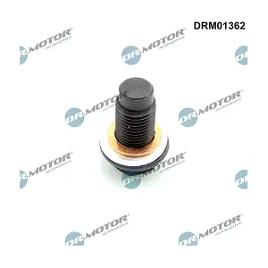 DRM01362 LIZARTE