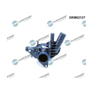 DRM02137 LIZARTE