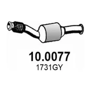 10.0077 ASSO