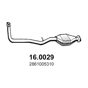 16.0029 ASSO
