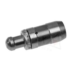 955044 AUTEX