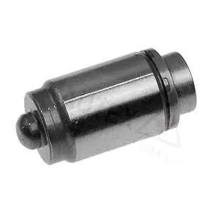 955011 AUTEX