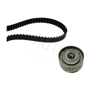 702060 AUTEX