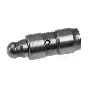 955015 AUTEX