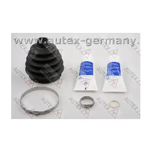 503290 AUTEX