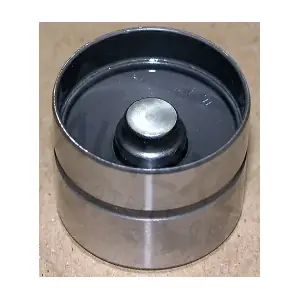 955106 AUTEX