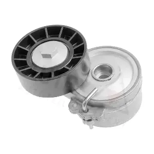601579 AUTEX