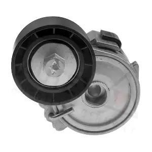 654564 AUTEX