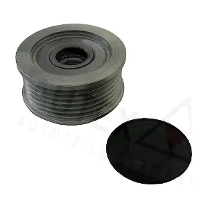 621742 AUTEX