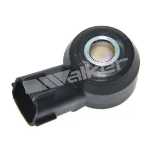 242-1081 WALKER PRODUCTS
