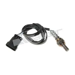 250 241017 WALKER PRODUCTS