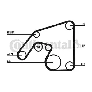 6PK2380D1 CONTINENTAL CTAM
