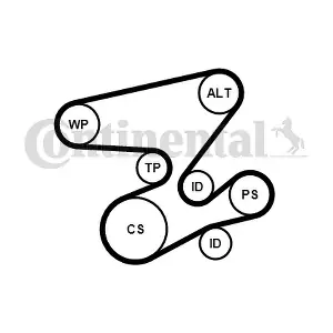 6PK2080WP1 CONTINENTAL CTAM
