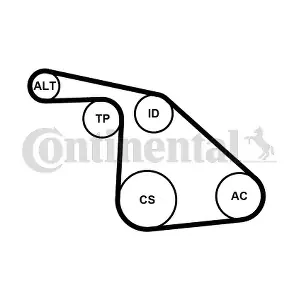 6PK1038K1 CONTINENTAL CTAM