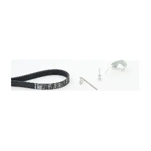 6PK1019ELASTT2 CONTINENTAL CTAM