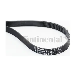 6PK1715 CONTINENTAL CTAM