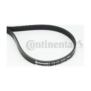 5PK1121EXTRA CONTINENTAL CTAM