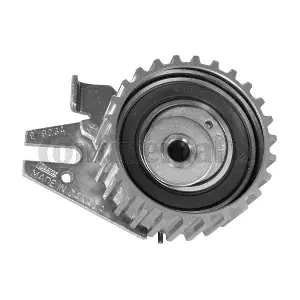 V55853 CONTINENTAL CTAM