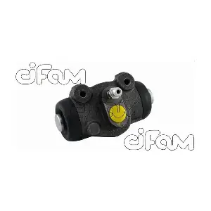 101-763 CIFAM