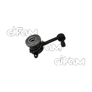 506-081 CIFAM