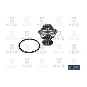 TER146 AKRON-MALO