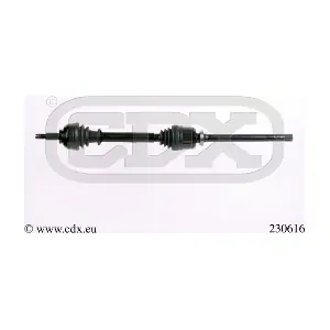 230616 CDX