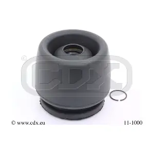111000 CDX