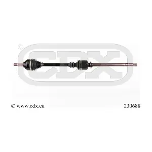230688 CDX