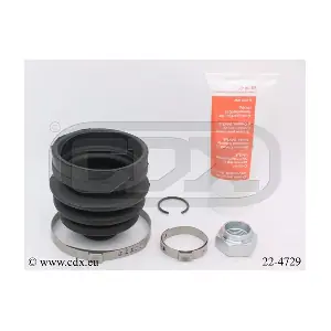 22-4729 CDX