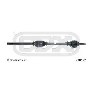 230572 CDX