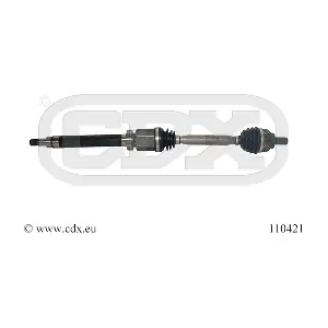 110421 CDX