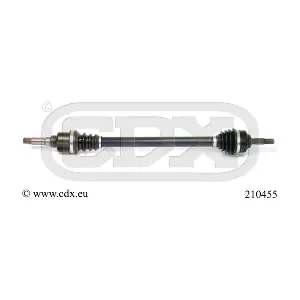 210455 CDX