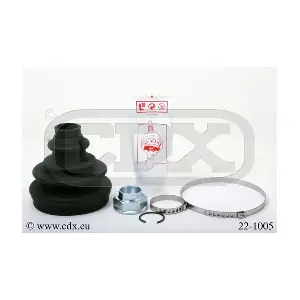 221005 CDX
