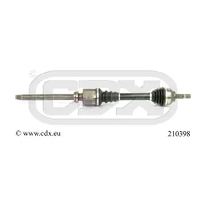 210398 CDX