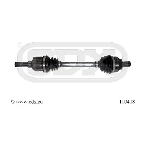 110418 CDX