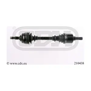 210438 CDX