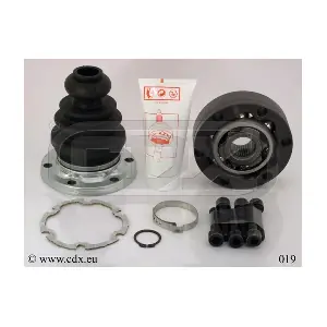 019 CDX