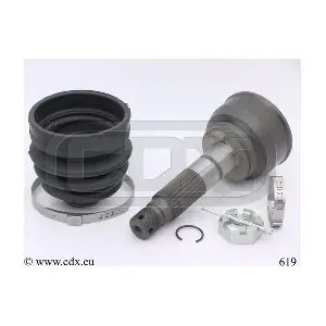 619 CDX