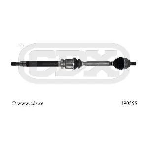 190555 CDX