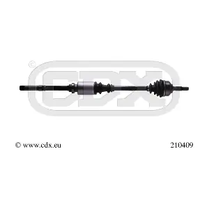 210409 CDX