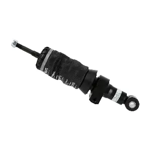 115731 SACHS