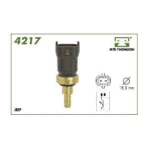 4217 MTE-THOMSON
