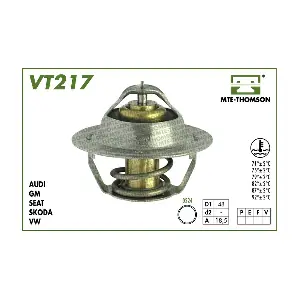 VT21787 MTE-THOMSON