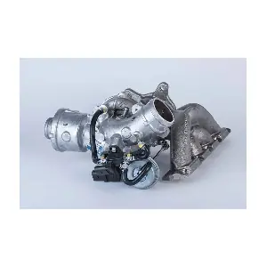 53039880141 BorgWarner