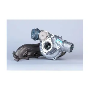 53039980110 BorgWarner