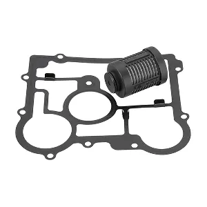 DS2006273 BorgWarner